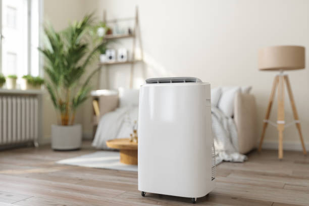 Best Furnace Cleaning in Lithonia, GA